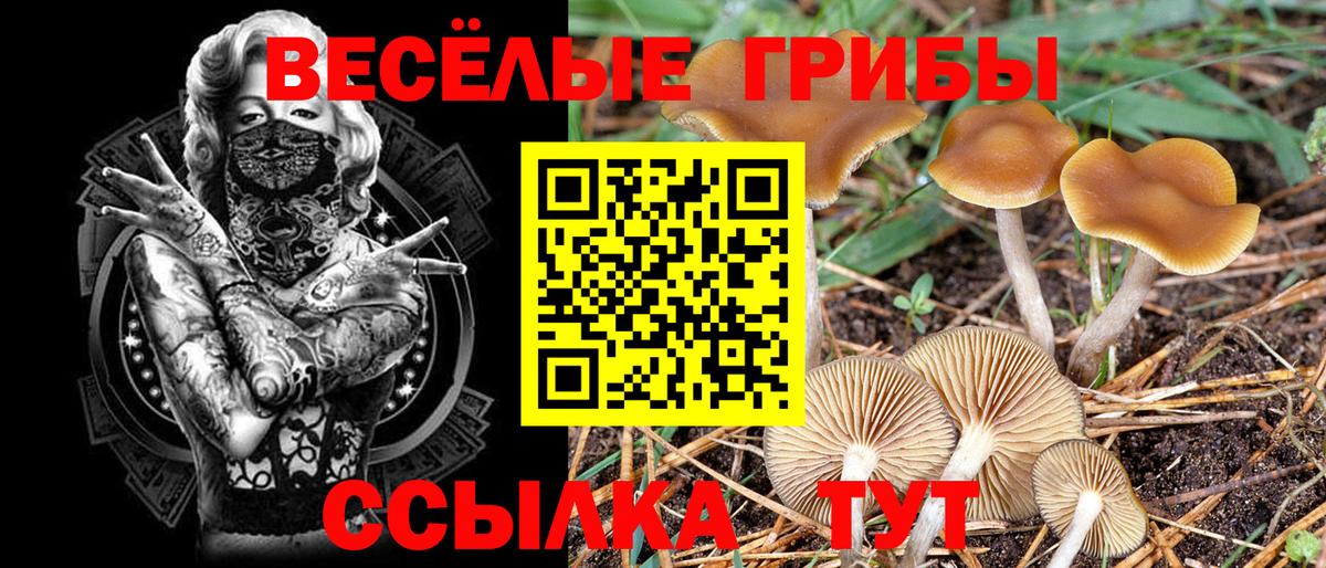 Приморско-Ахтарск  Галлюциногенные грибы Psilocybine cubensis  Вход с VPN 
